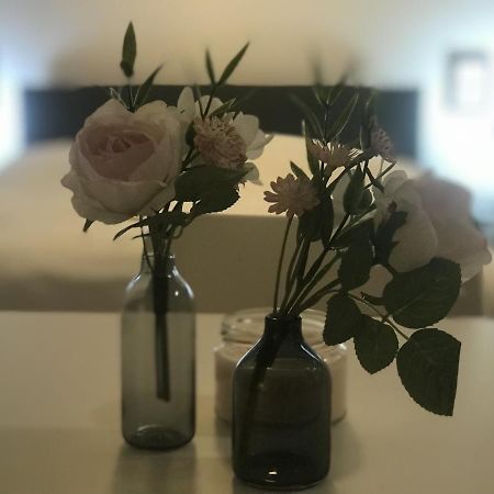 Tiny Apartment Spring Dresde Extérieur photo